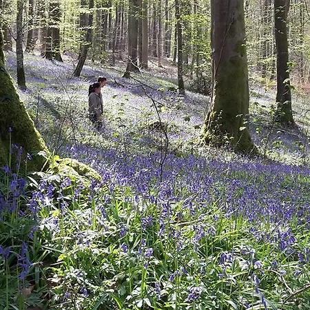 Hébergement de vacances Les Hirondelles