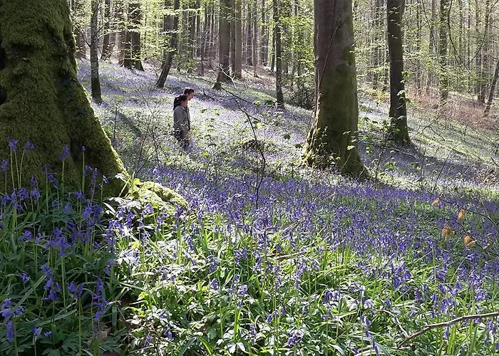 Holiday home Les Hirondelles